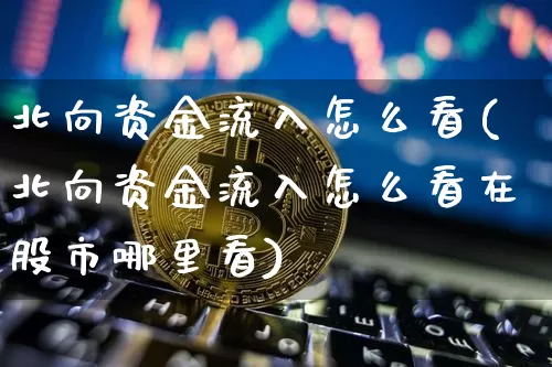 北向资金流入怎么看(北向资金流入怎么看在股市哪里看)_https://www.jyywjc.com_股票价格_第1张