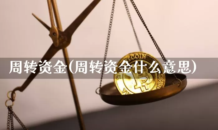 周转资金(周转资金什么意思)_https://www.jyywjc.com_股票_第1张