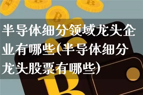 半导体细分领域龙头企业有哪些(半导体细分龙头股票有哪些)_https://www.jyywjc.com_股票行情_第1张
