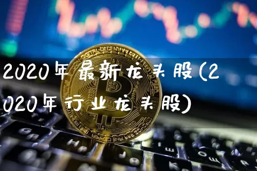 2020年最新龙头股(2020年行业龙头股)_https://www.jyywjc.com_股票板块_第1张