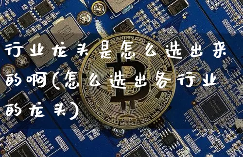 行业龙头是怎么选出来的啊(怎么选出各行业的龙头)_https://www.jyywjc.com_股票板块_第1张