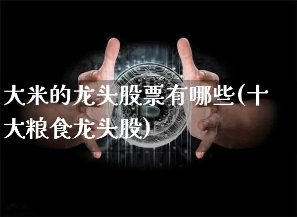 大米的龙头股票有哪些(十大粮食龙头股)_https://www.jyywjc.com_股票行情_第1张