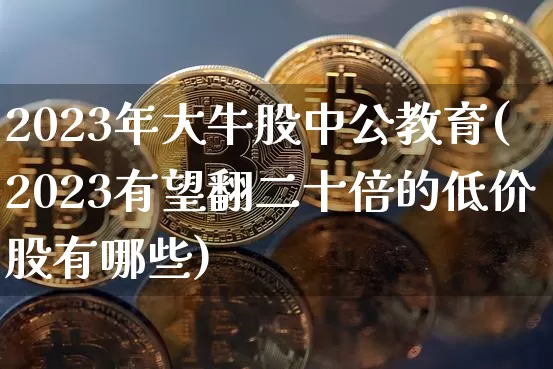 2023年大牛股中公教育(2023有望翻二十倍的低价股有哪些)_https://www.jyywjc.com_股票板块_第1张