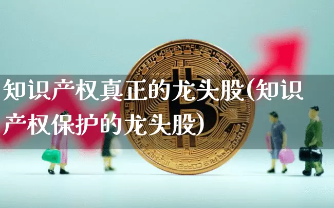 知识产权真正的龙头股(知识产权保护的龙头股)_https://www.jyywjc.com_股票价格_第1张