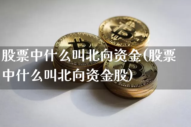 股票中什么叫北向资金(股票中什么叫北向资金股)_https://www.jyywjc.com_股票行情_第1张