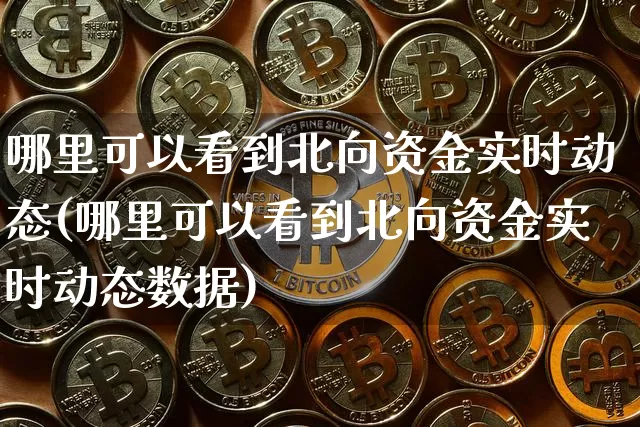哪里可以看到北向资金实时动态(哪里可以看到北向资金实时动态数据)_https://www.jyywjc.com_股票_第1张