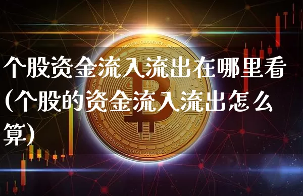 个股资金流入流出在哪里看(个股的资金流入流出怎么算)_https://www.jyywjc.com_股票_第1张