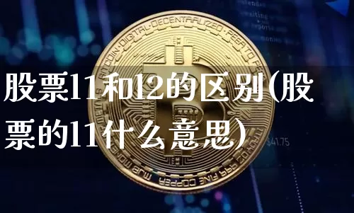 股票l1和l2的区别(股票的l1什么意思)_https://www.jyywjc.com_创业板_第1张