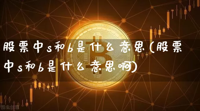 股票中s和b是什么意思(股票中s和b是什么意思啊)_https://www.jyywjc.com_股票趋势_第1张