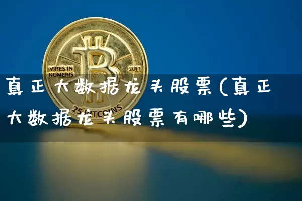 真正大数据龙头股票(真正大数据龙头股票有哪些)_https://www.jyywjc.com_股票趋势_第1张
