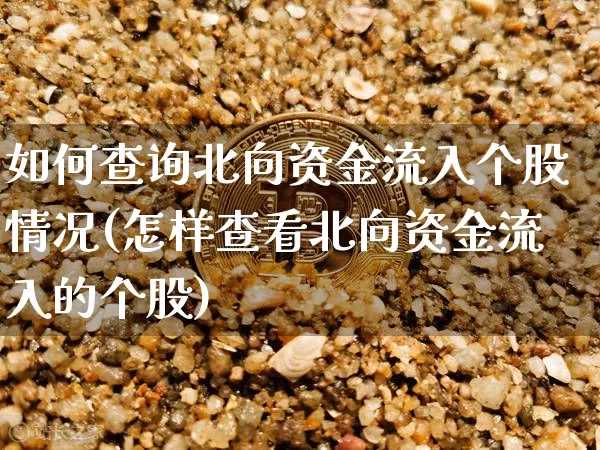 如何查询北向资金流入个股情况(怎样查看北向资金流入的个股)_https://www.jyywjc.com_股票_第1张