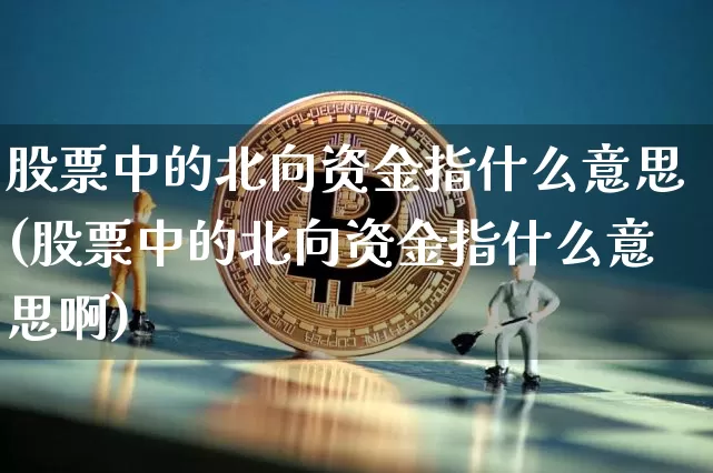 股票中的北向资金指什么意思(股票中的北向资金指什么意思啊)_https://www.jyywjc.com_股票_第1张