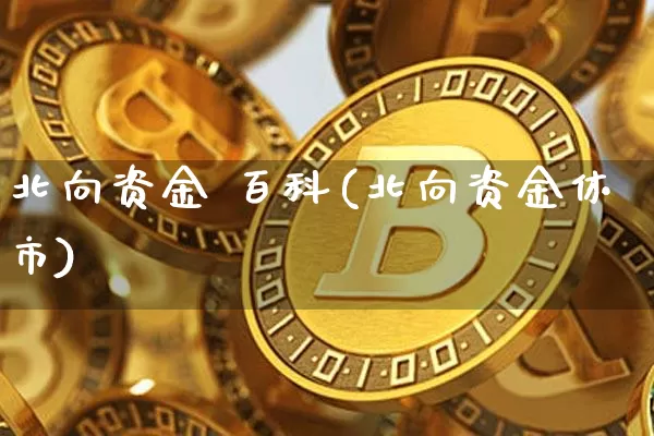 北向资金 百科(北向资金休市)_https://www.jyywjc.com_股票板块_第1张