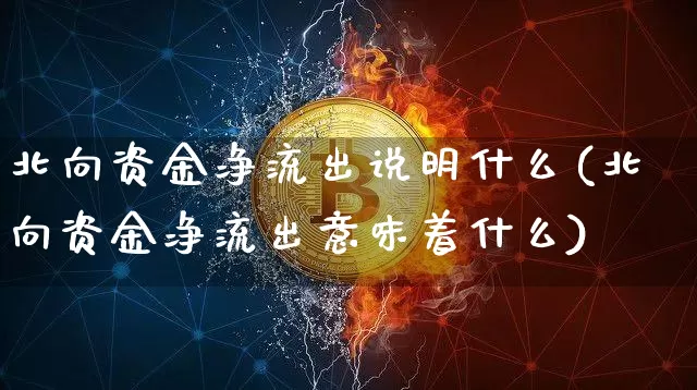 北向资金净流出说明什么(北向资金净流出意味着什么)_https://www.jyywjc.com_股票板块_第1张