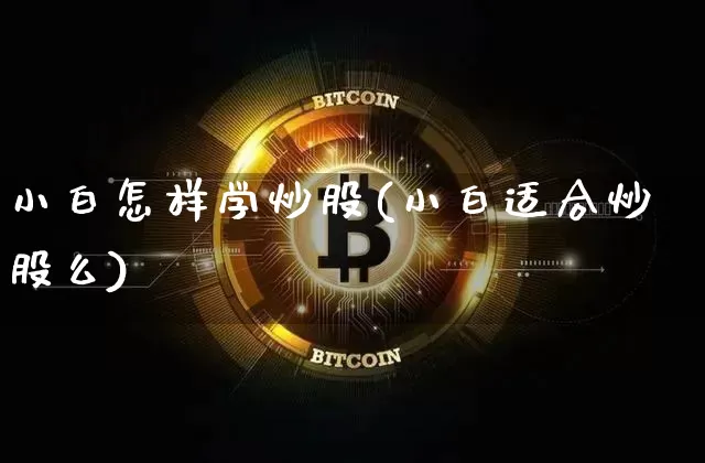 小白怎样学炒股(小白适合炒股么)_https://www.jyywjc.com_股票趋势_第1张