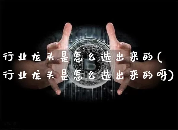 行业龙头是怎么选出来的(行业龙头是怎么选出来的呀)_https://www.jyywjc.com_股票板块_第1张