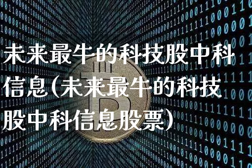 未来最牛的科技股中科信息(未来最牛的科技股中科信息股票)_https://www.jyywjc.com_股票行情_第1张