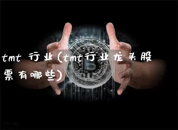 tmt 行业(tmt行业龙头股票有哪些)_https://www.jyywjc.com_股票板块_第1张