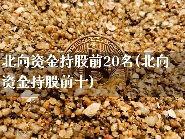 北向资金持股前20名(北向资金持股前十)_https://www.jyywjc.com_股票价格_第1张