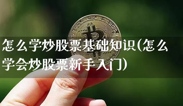怎么学炒股票基础知识(怎么学会炒股票新手入门)_https://www.jyywjc.com_股票板块_第1张