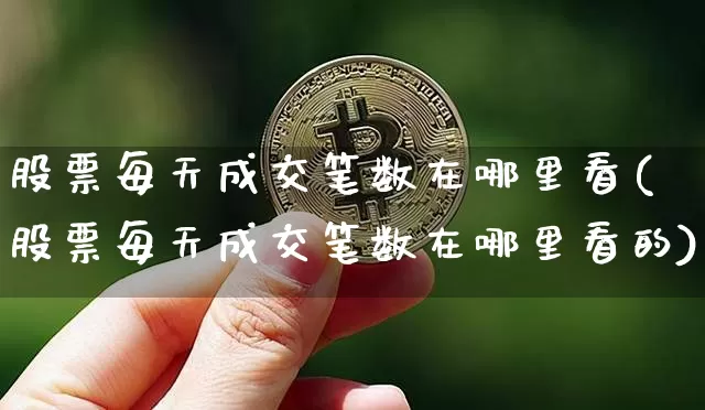 股票每天成交笔数在哪里看(股票每天成交笔数在哪里看的)_https://www.jyywjc.com_北交所_第1张