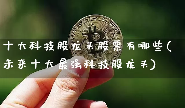 十大科技股龙头股票有哪些(未来十大最强科技股龙头)_https://www.jyywjc.com_深交所_第1张
