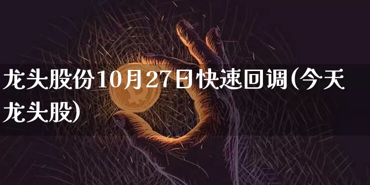 龙头股份10月27日快速回调(今天龙头股)_https://www.jyywjc.com_上交所_第1张