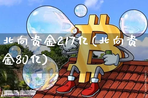 北向资金217亿(北向资金80亿)_https://www.jyywjc.com_股票板块_第1张