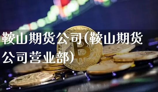 鞍山期货公司(鞍山期货公司营业部)_https://www.jyywjc.com_股票_第1张