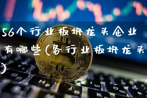56个行业板块龙头企业有哪些(各行业板块龙头)_https://www.jyywjc.com_股票趋势_第1张