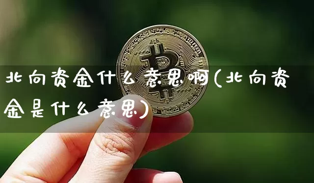 北向资金什么意思啊(北向资金是什么意思)_https://www.jyywjc.com_股票_第1张
