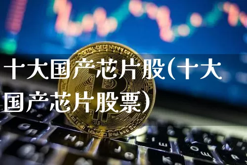 十大国产芯片股(十大国产芯片股票)_https://www.jyywjc.com_上交所_第1张