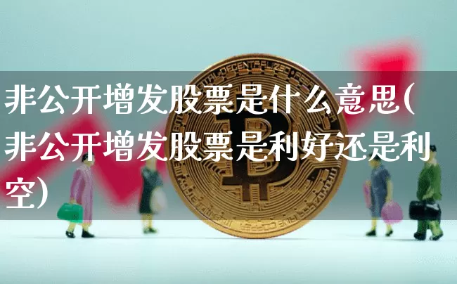 非公开增发股票是什么意思(非公开增发股票是利好还是利空)_https://www.jyywjc.com_创业板_第1张