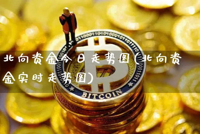 北向资金今日走势图(北向资金实时走势图)_https://www.jyywjc.com_股票板块_第1张