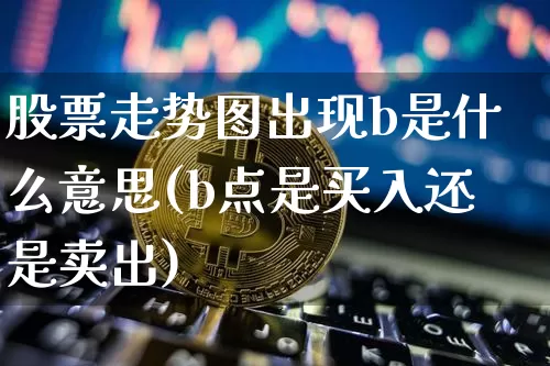 股票走势图出现b是什么意思(b点是买入还是卖出)_https://www.jyywjc.com_科创板_第1张