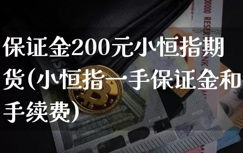 保证金200元小恒指期货(小恒指一手保证金和手续费)_https://www.jyywjc.com_股票_第1张