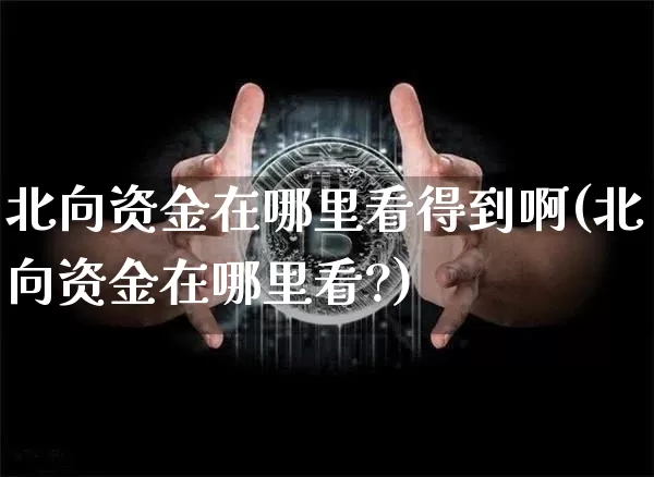 北向资金在哪里看得到啊(北向资金在哪里看?)_https://www.jyywjc.com_股票趋势_第1张