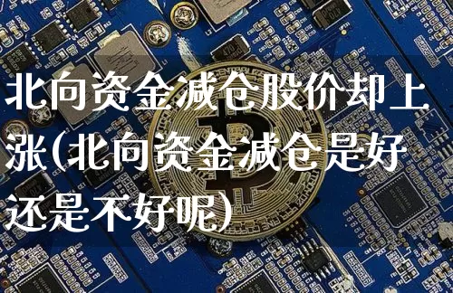 北向资金减仓股价却上涨(北向资金减仓是好还是不好呢)_https://www.jyywjc.com_股票_第1张