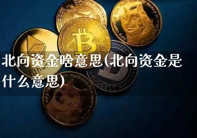 北向资金啥意思(北向资金是什么意思)_https://www.jyywjc.com_股票板块_第1张