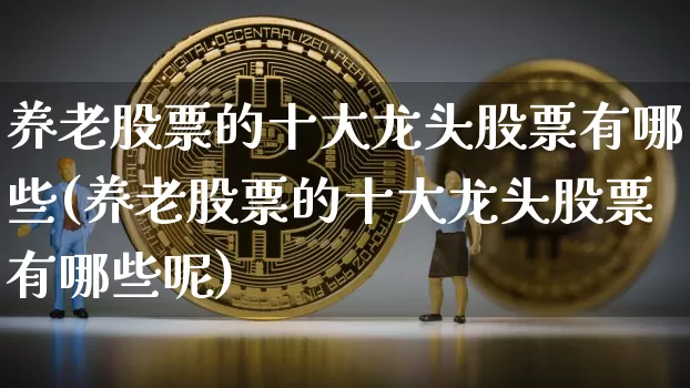 养老股票的十大龙头股票有哪些(养老股票的十大龙头股票有哪些呢)_https://www.jyywjc.com_股票板块_第1张