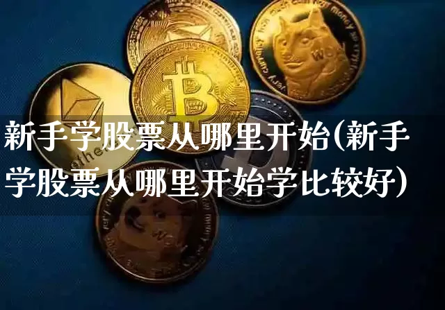 新手学股票从哪里开始(新手学股票从哪里开始学比较好)_https://www.jyywjc.com_北交所_第1张