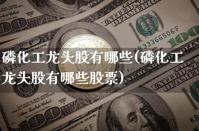 磷化工龙头股有哪些(磷化工龙头股有哪些股票)_https://www.jyywjc.com_股票_第1张