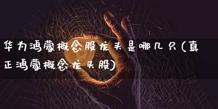 华为鸿蒙概念股龙头是哪几只(真正鸿蒙概念龙头股)_https://www.jyywjc.com_北交所_第1张