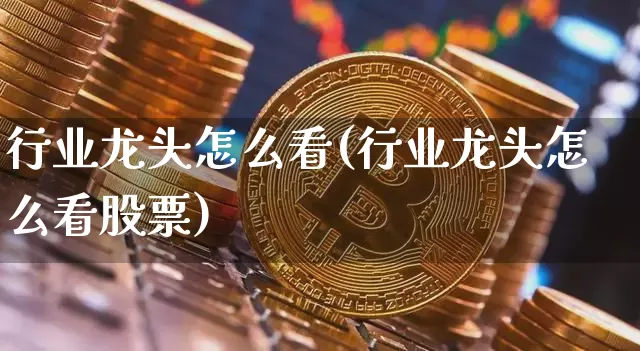 行业龙头怎么看(行业龙头怎么看股票)_https://www.jyywjc.com_股票_第1张