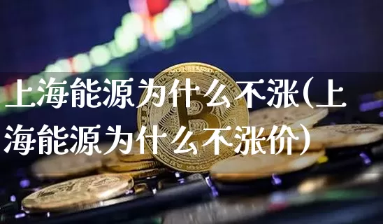 上海能源为什么不涨(上海能源为什么不涨价)_https://www.jyywjc.com_股票趋势_第1张