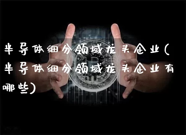 半导体细分领域龙头企业(半导体细分领域龙头企业有哪些)_https://www.jyywjc.com_股票板块_第1张