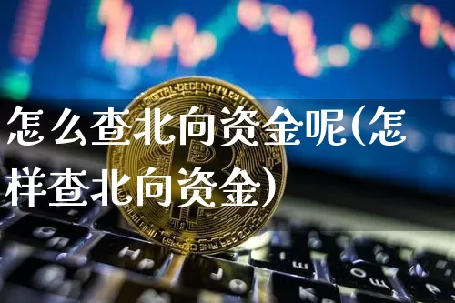 怎么查北向资金呢(怎样查北向资金)_https://www.jyywjc.com_股票趋势_第1张