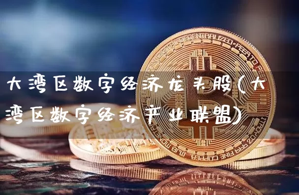 大湾区数字经济龙头股(大湾区数字经济产业联盟)_https://www.jyywjc.com_上交所_第1张