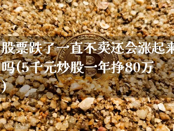 股票跌了一直不卖还会涨起来吗(5千元炒股一年挣80万)_https://www.jyywjc.com_股票_第1张