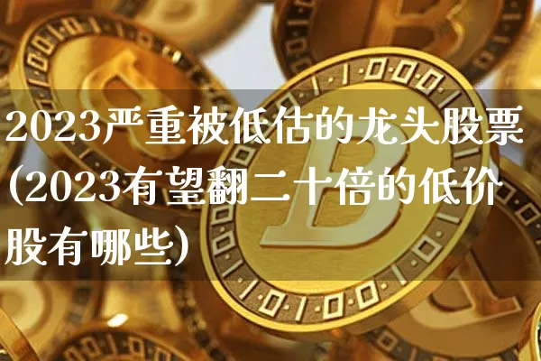 2023严重被低估的龙头股票(2023有望翻二十倍的低价股有哪些)_https://www.jyywjc.com_股票趋势_第1张